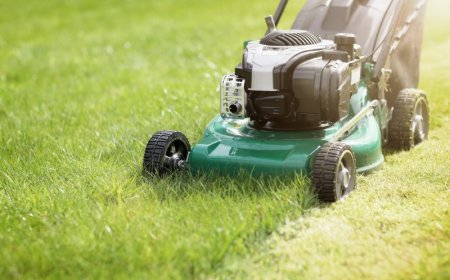 Effects of rising gas prices on local lawn care businesses
