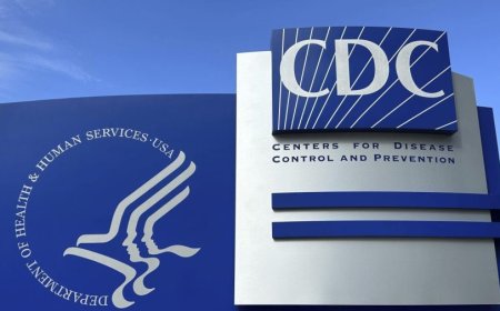 CDC pauses diagnostic testing for rabies, other infectious diseases