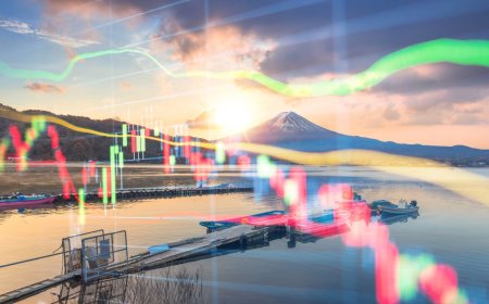 In Japan, the robot isn’t coming for your job; it’s filling the one nobody wants