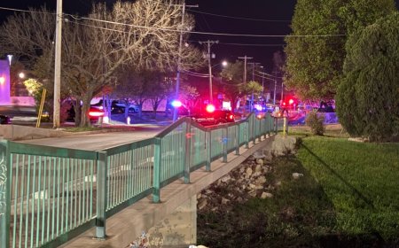 Man in custody after east Wichita standoff; police say he pointed gun at kids