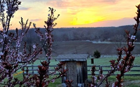 Joe's Blog: Some flakes and more rain (MON-4/6)