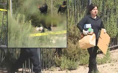 Human skull found at Los Angeles park during kids' Easter egg hunt, investigators say