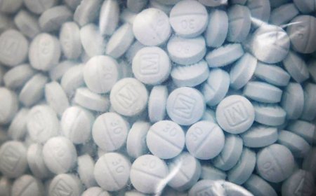 115,000 fentanyl pills send Kansas woman to federal prison