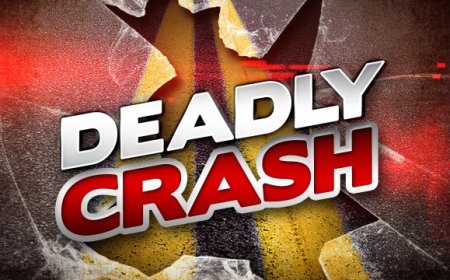Branson man dies in Webster County two-vehicle crash