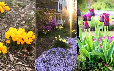 Warmer weather returns this week ahead of wetter pattern