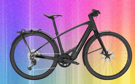 Best Electric Bikes (2026): Commuting, Cargo Bikes, Mountain Biking