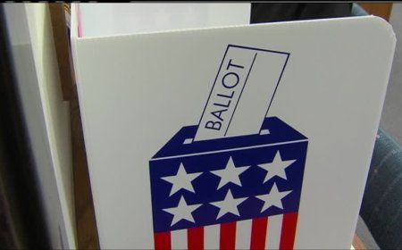 Voters head to polls across the Ozarks as tax measures, school issues take center stage