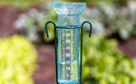 Quiet spring weather gives way to a stormier pattern