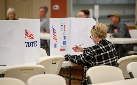 See the results of the April 7 election in Springfield, Ozark, Nixa and Republic