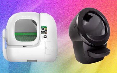 The Best Automatic Litter Box of 2026: Petkit and Litter-Robot