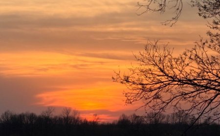 Joe's Blog: Some rain coming but... (WED-4/8)