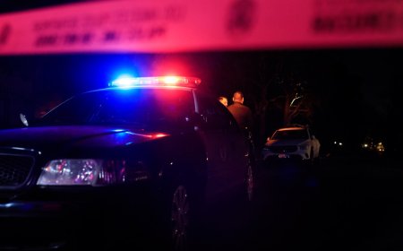 Hackers steal and leak sensitive LAPD police documents