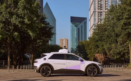 A self-driving car in Texas hit and killed a mother duck, sparking neighborhood outrage
