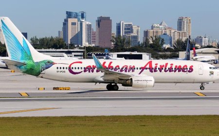 Child born during international flight to US sparks heated debate about citizenship, legal identity