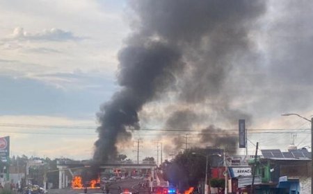 Co-Founder of Cartel Jalisco Terror Group Pleads Guilty to Drug Charges