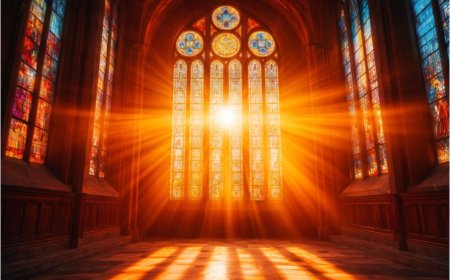 Light and Illumination: More Than a Bright Idea