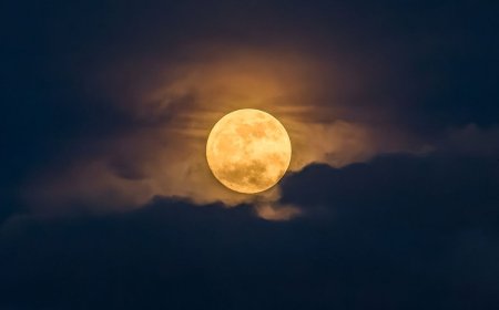 May full moon 2026: When, where and how to see the Flower Moon