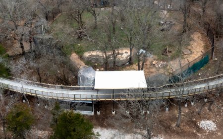 Dickerson Park Zoo opens new and improved Bear Boardwalk