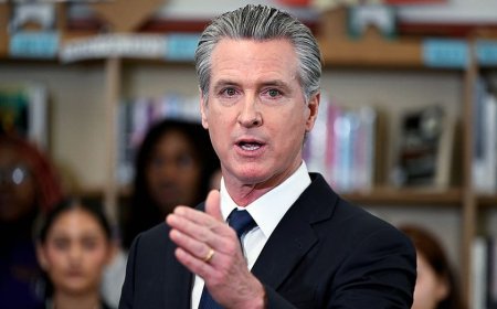 New exposé claims California lost at least $180B to fraud under Gavin Newsom