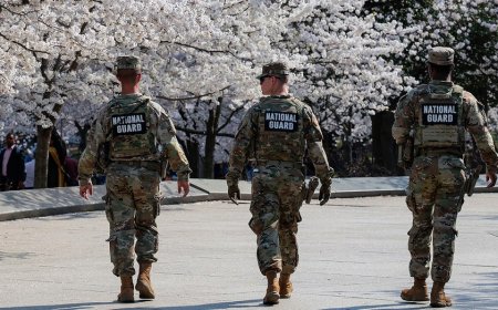 DC's bid to block Trump’s National Guard deployment hits basic legal snag: Can’t sue itself