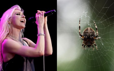 "Its venom did a number on my system." The Pretty Reckless' Taylor Momsen has been bitten by yet another animal on the AC/DC tour