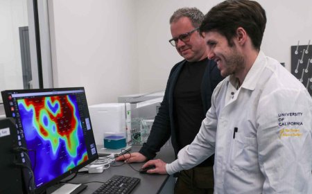 A “mini-brain” created in the lab faces the challenge of solving one of engineering’s most complex problems, and what happens in just 45 minutes raises a profound question about artificial intelligence