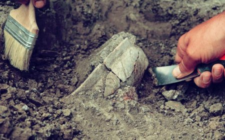During A Routine Renovation, A Hidden Roman Camp Suddenly Emerged Beneath This Quiet German Garden