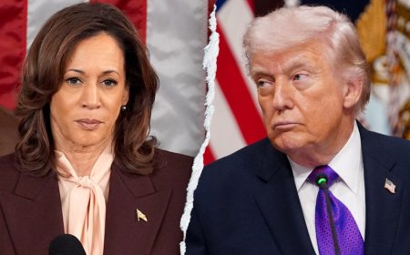 Kamala Harris-linked group tells young liberals to stop calling Trump 'TACO'