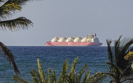 Strait of Hormuz toll would set 'dangerous precedent,' UN shipping agency warns