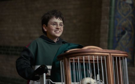 HBO's Harry Potter show will be a huge hit, and there's nothing anyone can do about it
