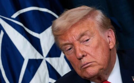 Trump Considering 'Punishing' Disloyal NATO Allies With Troop Reductions: Report