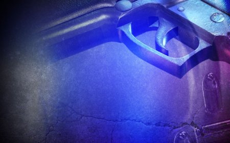 Kansas school resource officer's gun accidentally fires, police say