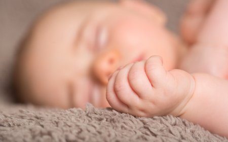 Fertility rate drops to new record low: CDC