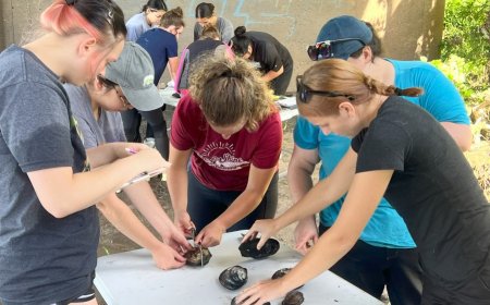 University in landlocked Kansas partners with marine lab in the Gulf