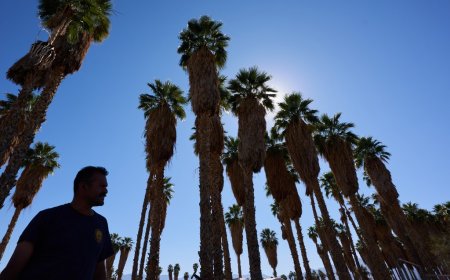 A 'super' El Niño may be on the way to Missouri. How will it impact summer?