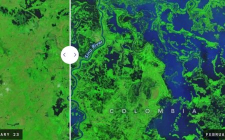 How one of Colombia’s most important livestock-raising regions came to resemble a giant lake in just a few days following the rains of February 2026, which were so unusual that they could be seen from space