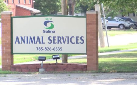 Salina Animal Shelter managers charged with animal cruelty