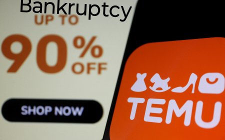 Temu is in Financial Crisis. Bankruptcy is imminent