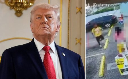 Trump blasts Biden admin for releasing illegal immigrant now charged in fatal hammer attack on Florida mother