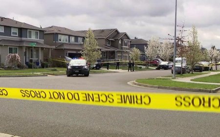 Neighbor fatally shoots alleged gunman after 2 women shot in domestic dispute