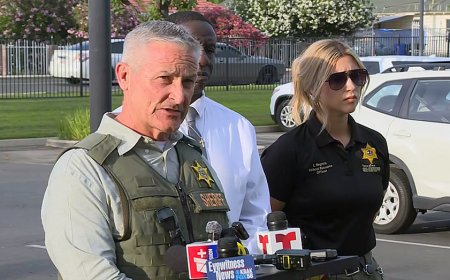 Suspect who killed California deputy run over by armored vehicle after hours-long firefight standoff: sheriff