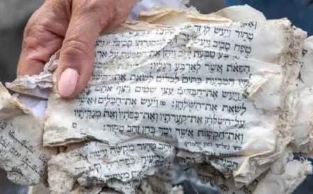 Iran-Palestine vs. US-Israel: Who’s the Terrorist?