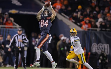 2026 rankings: Profiles for more than 30 tight ends