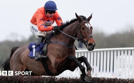Panic Attack out to end 75-year wait for Grand National win by a mare