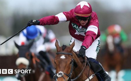 Gold Dancer put down after winning at Aintree