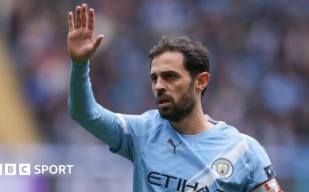 Guardiola would 'love' Silva to stay at Man City