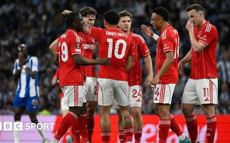 Premier League must protect teams in Europe - Pereira