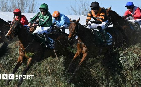 Can these stats help you pick Grand National winner?