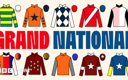 Grand National pinstickers' guide to runners