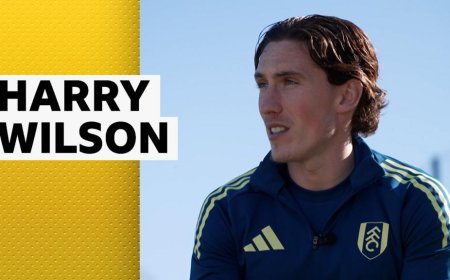 Wilson delighted with Fulham's 'amazing' progress